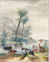 Exotic Waterbirds in a Landscape