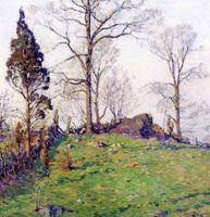 Belmont Hillside
