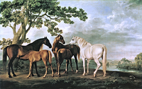 Mares and Foals on a River Bank