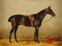 Horse in the Stable
