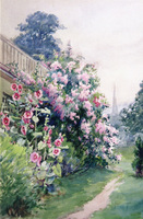 Hollyhocks