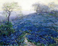 Bluebonnets