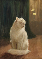 White Cat and Two Brimstone Butterflies
