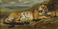 Tiger Resting