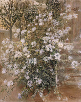 Corner of the Garden