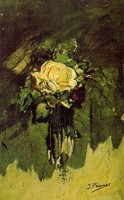 A Rose
