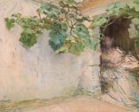 The Arbor