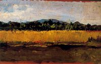 Cornfield