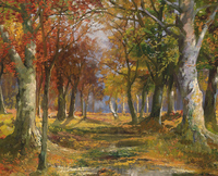 Forest in Autumn