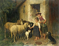Feeding The Sheep