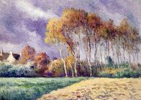 Houses in the Trees