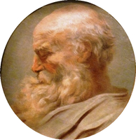 Head of an Old Man