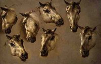 Studies of a Horses' Head