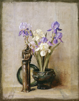Purple and White Iris