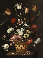 Still Life