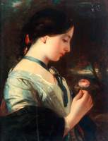 An English Rose