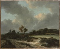 Grainfields