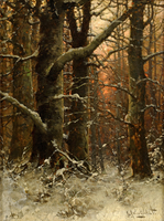 Winter Forest