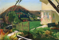 The Front Yard