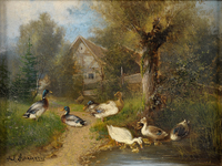 At the duck pond