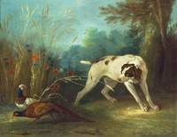 Dog Pointing Pheasants