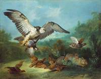 Hawk Attacking Partridges and a Rabbit
