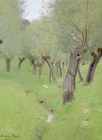 Willows