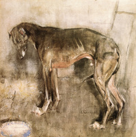 The Greyhound