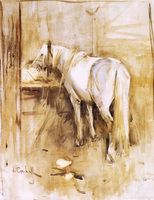 Barb Horse in Stable