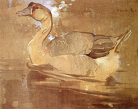 The Chinese Goose