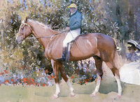 In the Paddock