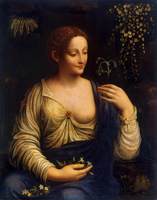 Flora