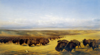 The Gathering of the Herds