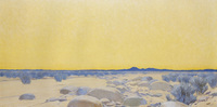 Desert Sunset