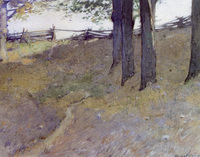 Trees on a Hillside