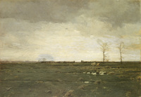The Meadows