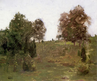 The Old Pasture Swale