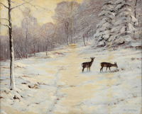 Forest Glade in Winter