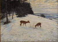 Winter Landscape