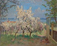 Trees in Bloom