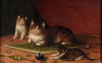 A Cat Family