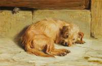 Watching Dog