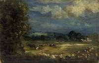 Britford Vale: Water Meadows
