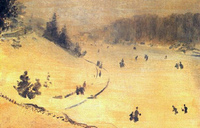 Snow Fields