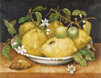 Still Life with a Bowl of Citrons
