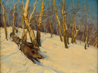 Wild boar in winter forest