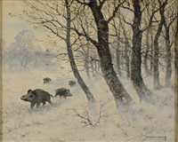 Wild boar in winter forest