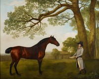 John Gascoigne, the Prince of Wales's Head Groom, with a Bay Horse