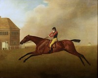 'Baronet' with Samuel Chifney up