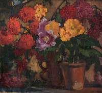 Begonias